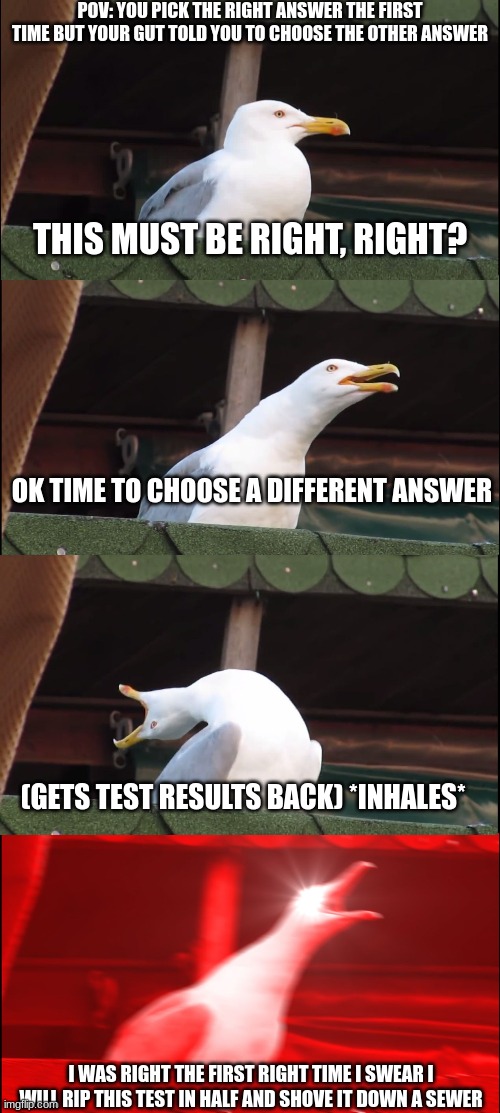 Relatable? | POV: YOU PICK THE RIGHT ANSWER THE FIRST TIME BUT YOUR GUT TOLD YOU TO CHOOSE THE OTHER ANSWER; THIS MUST BE RIGHT, RIGHT? OK TIME TO CHOOSE A DIFFERENT ANSWER; (GETS TEST RESULTS BACK) *INHALES*; I WAS RIGHT THE FIRST RIGHT TIME I SWEAR I WILL RIP THIS TEST IN HALF AND SHOVE IT DOWN A SEWER | image tagged in school,tests,rage,funny memes | made w/ Imgflip meme maker