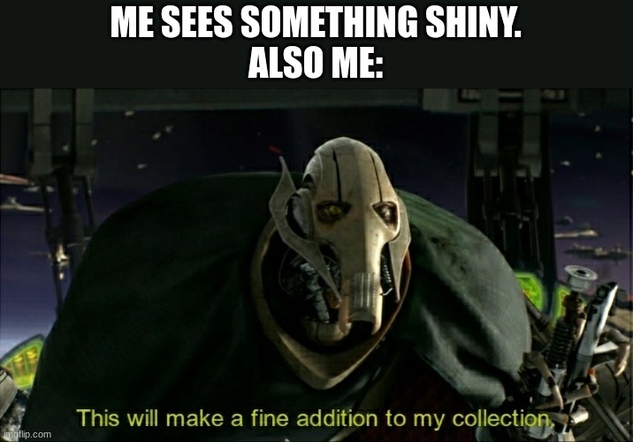 Shiny | ME SEES SOMETHING SHINY.
ALSO ME: | image tagged in this will make a fine addition to my collection | made w/ Imgflip meme maker