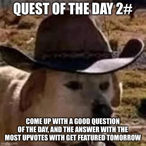 doge | QUEST OF THE DAY 2#; COME UP WITH A GOOD QUESTION OF THE DAY, AND THE ANSWER WITH THE MOST UPVOTES WITH GET FEATURED TOMORROW | image tagged in doge | made w/ Imgflip meme maker