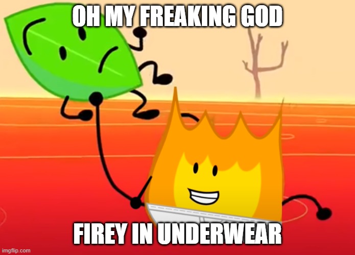 firey in underwear | OH MY FREAKING GOD; FIREY IN UNDERWEAR | image tagged in bfb,funny memes | made w/ Imgflip meme maker