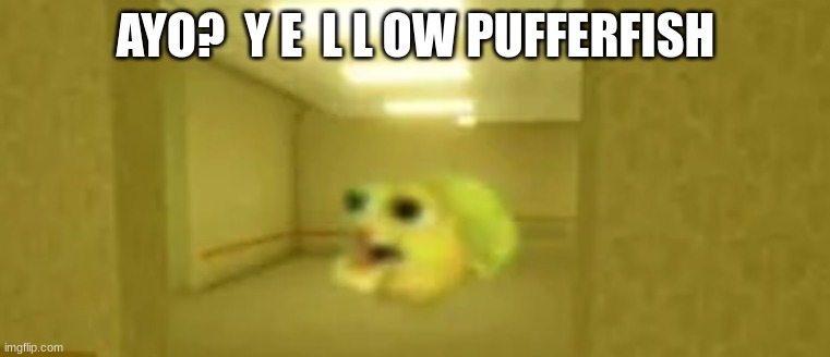 pufferfish in the backrooms | AYO?  Y E  L L OW PUFFERFISH | image tagged in pufferfish in the backrooms | made w/ Imgflip meme maker