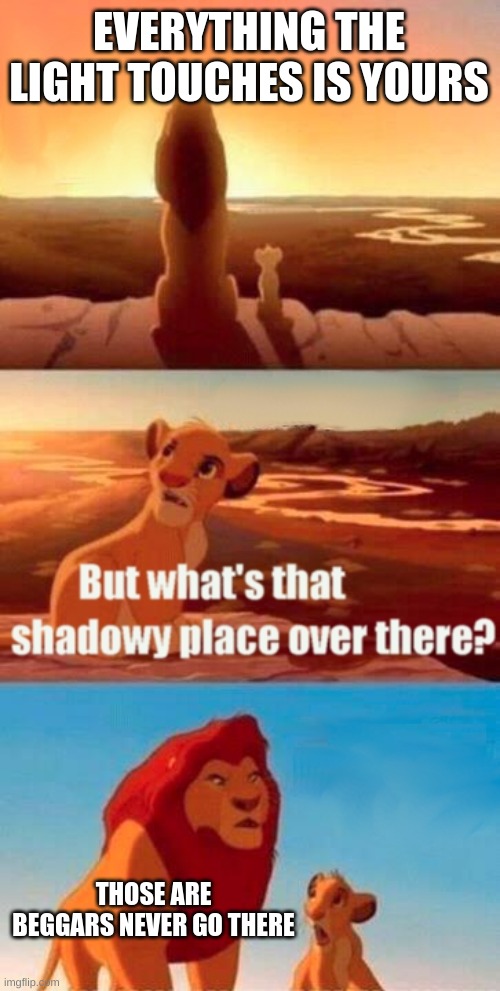 .... | EVERYTHING THE LIGHT TOUCHES IS YOURS; THOSE ARE BEGGARS NEVER GO THERE | image tagged in memes,simba shadowy place | made w/ Imgflip meme maker