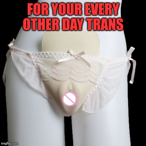 FOR YOUR EVERY OTHER DAY TRANS | made w/ Imgflip meme maker