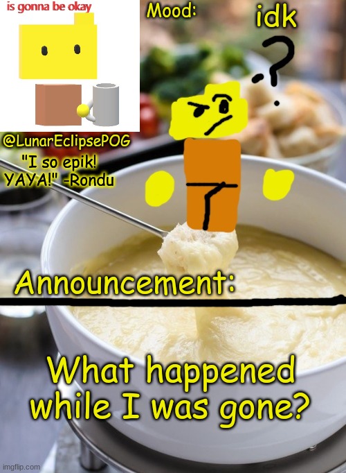 What happened? | idk; What happened while I was gone? | image tagged in luna's rondu on the fondue temp 2 0 | made w/ Imgflip meme maker