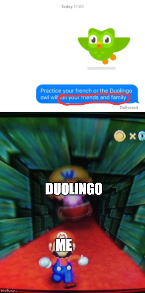 every copy of Duolingo is personalized | DUOLINGO; ME | image tagged in dont,download,this | made w/ Imgflip meme maker