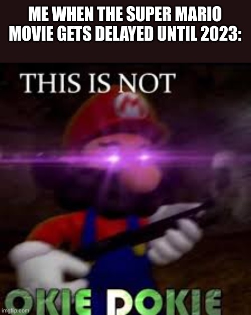 WHY WOULD NINTENDO DO THAT?!?! | ME WHEN THE SUPER MARIO MOVIE GETS DELAYED UNTIL 2023: | image tagged in this is not okie dokie,super mario,movie,mario,memes | made w/ Imgflip meme maker