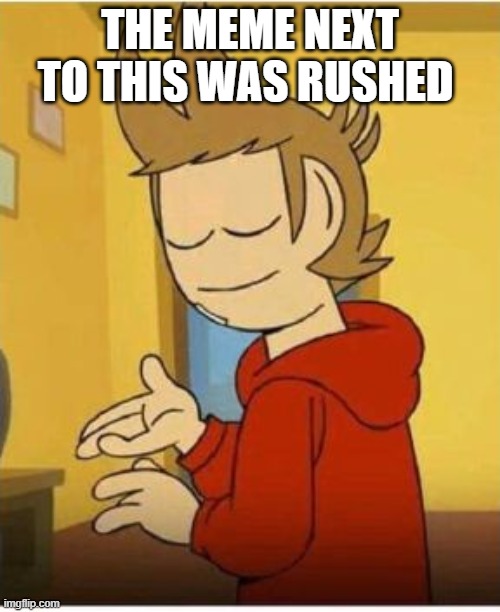 Tord face of mercy |  THE MEME NEXT TO THIS WAS RUSHED | image tagged in tord face of mercy | made w/ Imgflip meme maker