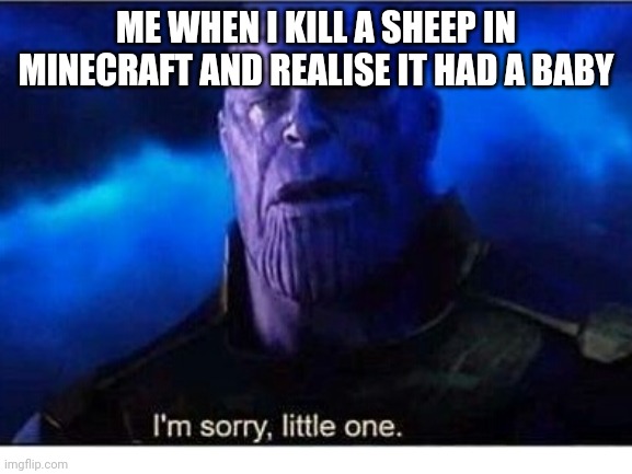 What have i done... | ME WHEN I KILL A SHEEP IN MINECRAFT AND REALISE IT HAD A BABY | image tagged in minecraft,sheep,thanos | made w/ Imgflip meme maker