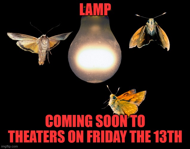 lamp streaming now | LAMP; COMING SOON TO THEATERS ON FRIDAY THE 13TH | image tagged in funny moth,friday the 13th | made w/ Imgflip meme maker