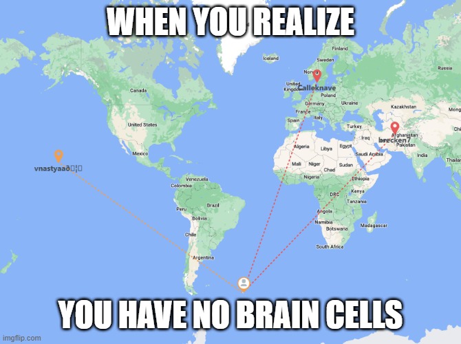 Bruhhhhhhhh |  WHEN YOU REALIZE; YOU HAVE NO BRAIN CELLS | image tagged in dumb people,antarctica,arctic,memes,funny | made w/ Imgflip meme maker