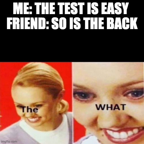 The What | ME: THE TEST IS EASY 

FRIEND: SO IS THE BACK | image tagged in the what | made w/ Imgflip meme maker