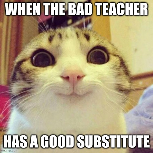 School | WHEN THE BAD TEACHER; HAS A GOOD SUBSTITUTE | image tagged in memes,smiling cat | made w/ Imgflip meme maker