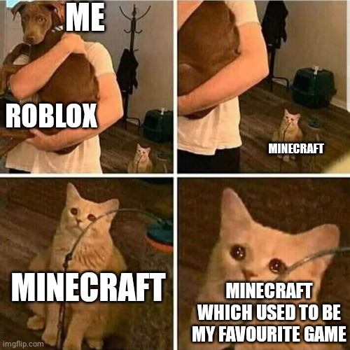 Sad Cat Holding Dog | ME; MINECRAFT; ROBLOX; MINECRAFT; MINECRAFT WHICH USED TO BE MY FAVOURITE GAME | image tagged in sad cat holding dog | made w/ Imgflip meme maker