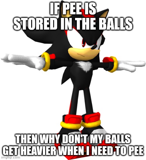pls explain | IF PEE IS STORED IN THE BALLS; THEN WHY DON'T MY BALLS GET HEAVIER WHEN I NEED TO PEE | image tagged in shadow the hedgehog t pose | made w/ Imgflip meme maker