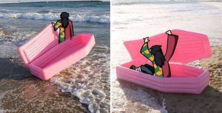 Nobody gives a shit stfu | made w/ Imgflip meme maker