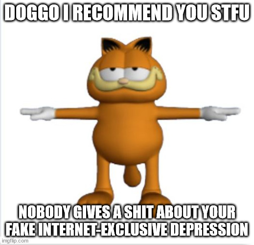 time to cause a drama (not on purpose) | DOGGO I RECOMMEND YOU STFU; NOBODY GIVES A SHIT ABOUT YOUR FAKE INTERNET-EXCLUSIVE DEPRESSION | image tagged in garfield t-pose | made w/ Imgflip meme maker