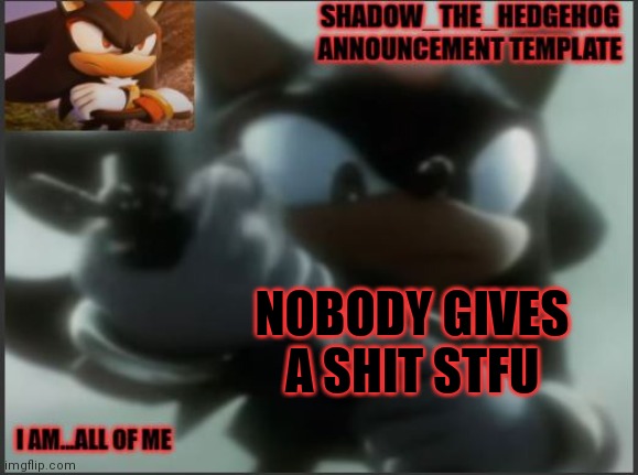 Nobody gives a shit stfu | NOBODY GIVES A SHIT STFU | image tagged in shadow_the_hedgehog announcement template | made w/ Imgflip meme maker