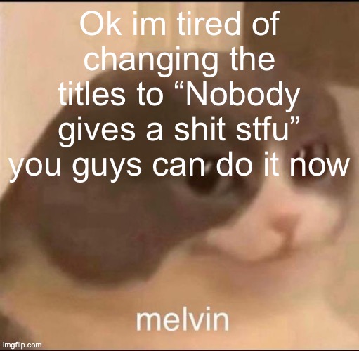 Nobody gives a shit stfu | Ok im tired of changing the titles to “Nobody gives a shit stfu” you guys can do it now | image tagged in melvin | made w/ Imgflip meme maker