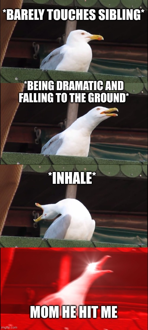 Inhaling Seagull | *BARELY TOUCHES SIBLING*; *BEING DRAMATIC AND FALLING TO THE GROUND*; *INHALE*; MOM HE HIT ME | image tagged in memes,inhaling seagull | made w/ Imgflip meme maker