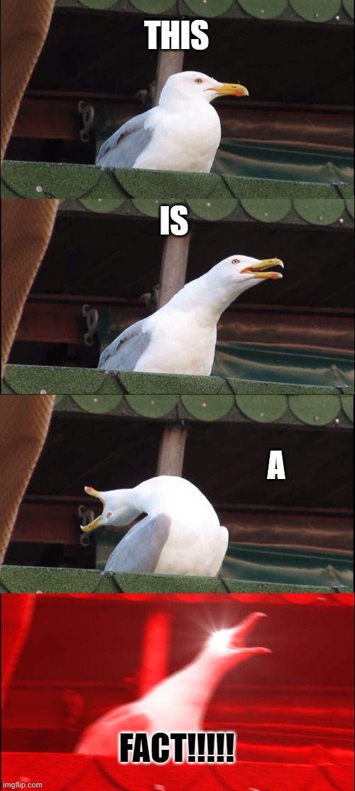Inhaling Seagull Meme | THIS IS A FACT!!!!! | image tagged in memes,inhaling seagull | made w/ Imgflip meme maker