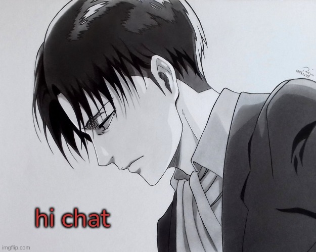 levi | hi chat | image tagged in levi | made w/ Imgflip meme maker