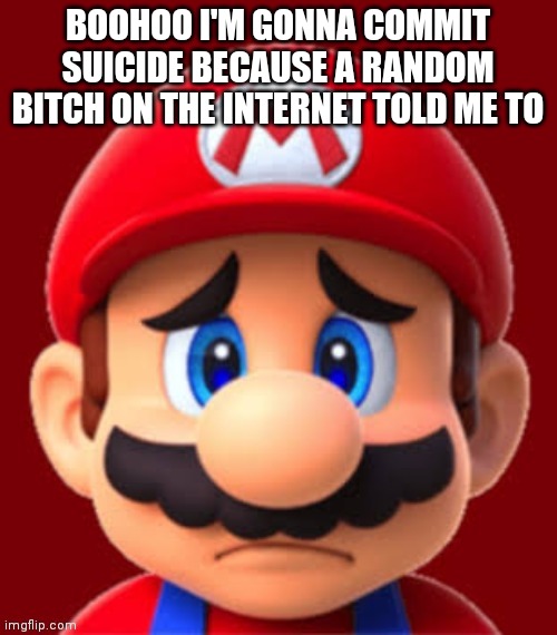 Sad mario | BOOHOO I'M GONNA COMMIT SUICIDE BECAUSE A RANDOM BITCH ON THE INTERNET TOLD ME TO | image tagged in sad mario | made w/ Imgflip meme maker