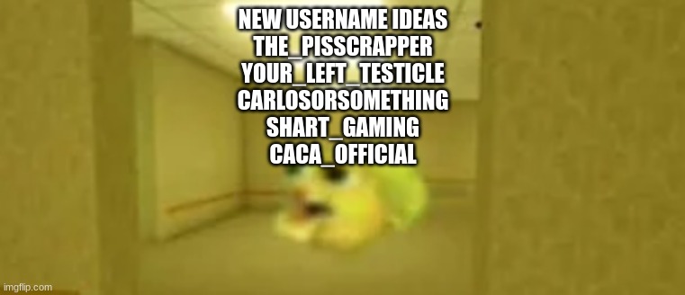 pufferfish in the backrooms | NEW USERNAME IDEAS
THE_PISSCRAPPER
YOUR_LEFT_TESTICLE
CARLOSORSOMETHING
SHART_GAMING
CACA_OFFICIAL | image tagged in pufferfish in the backrooms | made w/ Imgflip meme maker
