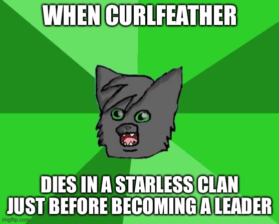 Warrior cats meme | WHEN CURLFEATHER; DIES IN A STARLESS CLAN JUST BEFORE BECOMING A LEADER | image tagged in warrior cats meme | made w/ Imgflip meme maker