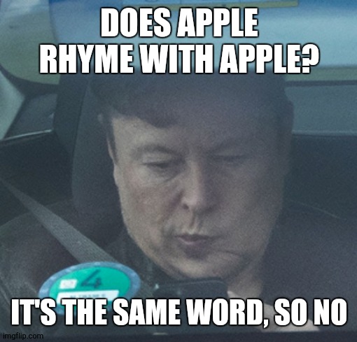 Twatter | DOES APPLE RHYME WITH APPLE? IT'S THE SAME WORD, SO NO | image tagged in twatter | made w/ Imgflip meme maker