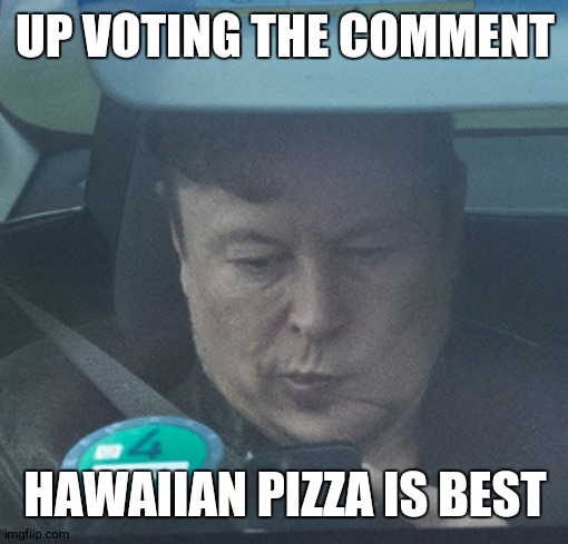 Twatter | UP VOTING THE COMMENT; HAWAIIAN PIZZA IS BEST | image tagged in twatter | made w/ Imgflip meme maker