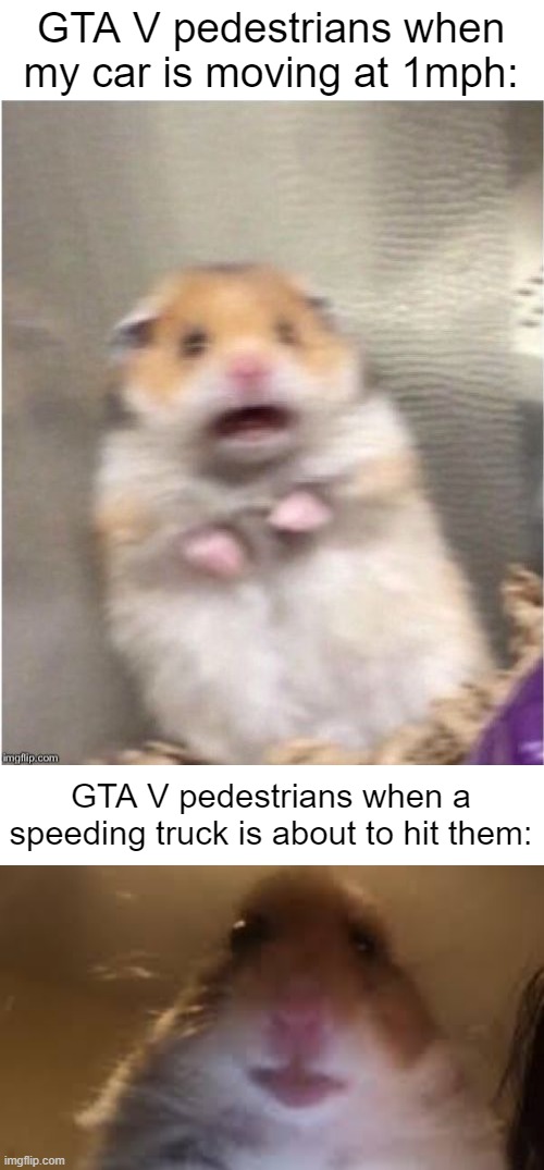 The double standards these people have |  GTA V pedestrians when my car is moving at 1mph:; GTA V pedestrians when a speeding truck is about to hit them: | image tagged in scared hamster,facetime hamster,gta 5,gta v,funny,memes | made w/ Imgflip meme maker