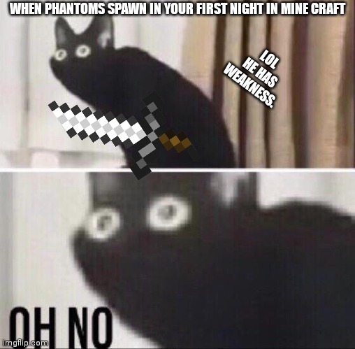 Oh no cat | WHEN PHANTOMS SPAWN IN YOUR FIRST NIGHT IN MINE CRAFT; LOL HE HAS WEAKNESS. | image tagged in oh no cat | made w/ Imgflip meme maker