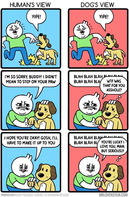 image tagged in comics/cartoons | made w/ Imgflip meme maker