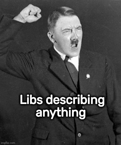 Angry Hitler | Libs describing anything | image tagged in angry hitler | made w/ Imgflip meme maker