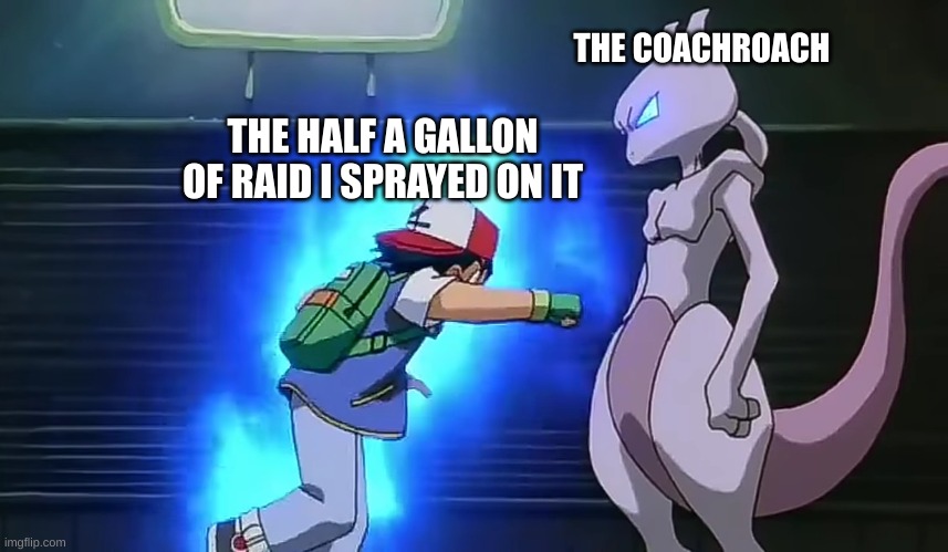 Roach problems | THE COACHROACH; THE HALF A GALLON OF RAID I SPRAYED ON IT | image tagged in cockroach,pokemon,anime | made w/ Imgflip meme maker