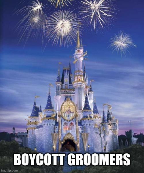 Disney | BOYCOTT GROOMERS | image tagged in disney | made w/ Imgflip meme maker