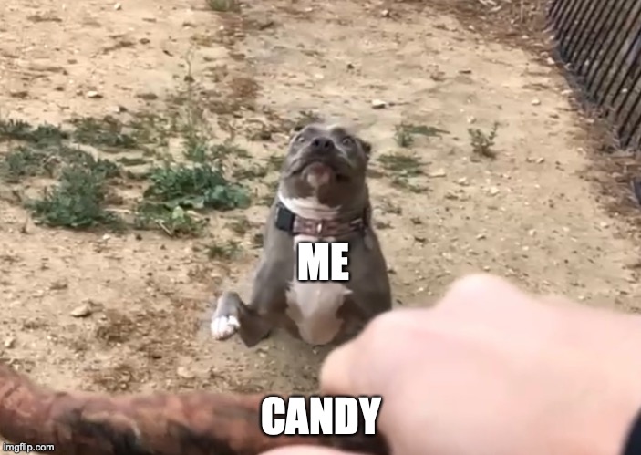 i SMeLL CaNDySz | ME; CANDY | image tagged in candy,zoom,dog,thicc doggo,run | made w/ Imgflip meme maker
