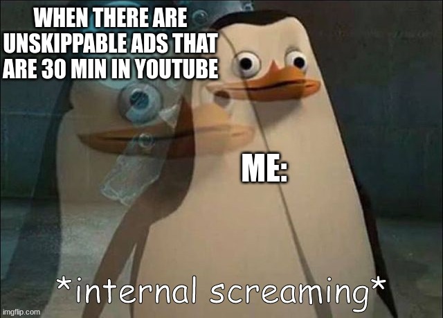 Private Internal Screaming | WHEN THERE ARE UNSKIPPABLE ADS THAT ARE 30 MIN IN YOUTUBE; ME: | image tagged in private internal screaming | made w/ Imgflip meme maker