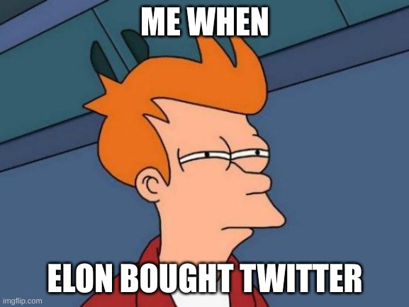 Futurama Fry Meme | ME WHEN; ELON BOUGHT TWITTER | image tagged in memes,futurama fry | made w/ Imgflip meme maker