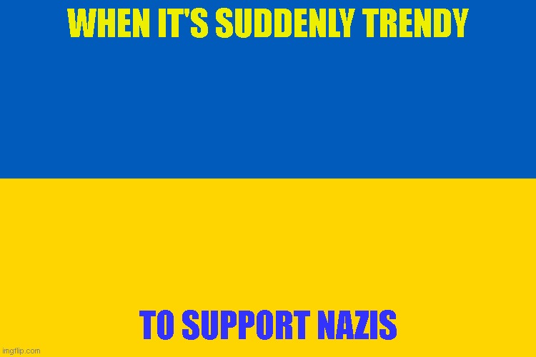 "The Azov battalion's the good guys! Putin's the REAL Nazi! Muh ghost of Keeev!" | WHEN IT'S SUDDENLY TRENDY; TO SUPPORT NAZIS | image tagged in ukraine flag | made w/ Imgflip meme maker