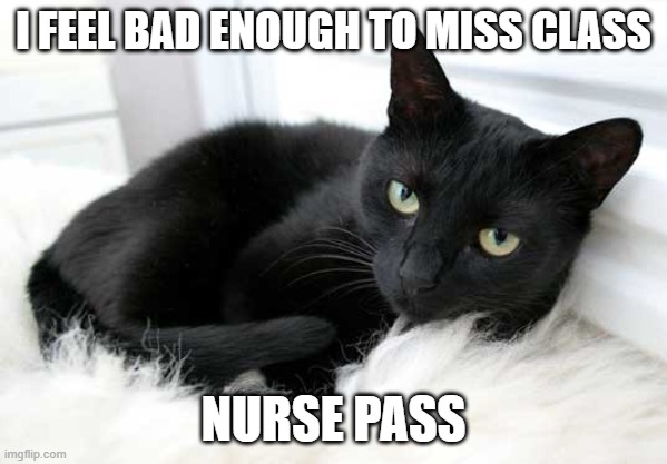 Sick Cat | I FEEL BAD ENOUGH TO MISS CLASS; NURSE PASS | image tagged in black cat | made w/ Imgflip meme maker