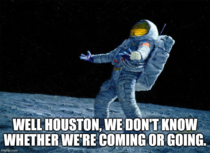 astronaut | WELL HOUSTON, WE DON'T KNOW WHETHER WE'RE COMING OR GOING. | image tagged in astronaut | made w/ Imgflip meme maker