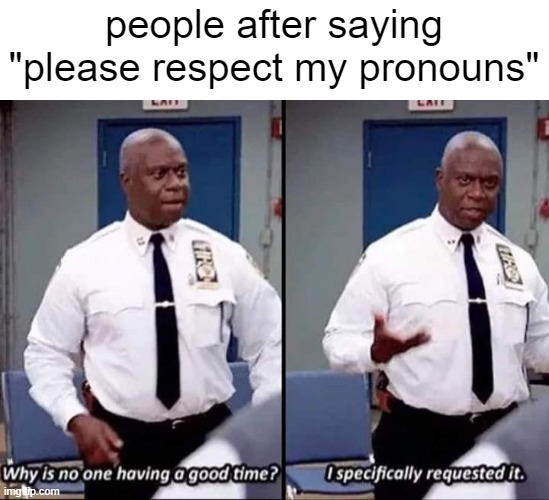 pLeaSe ResPecT my PrOnouNs |  people after saying "please respect my pronouns" | image tagged in why is no one having a good time i specifically requested it | made w/ Imgflip meme maker