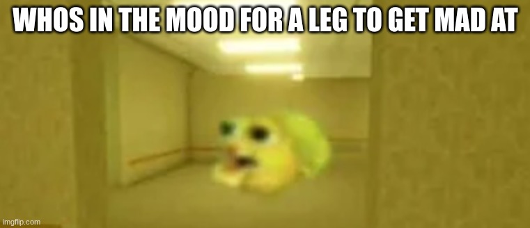 pufferfish in the backrooms | WHOS IN THE MOOD FOR A LEG TO GET MAD AT | image tagged in pufferfish in the backrooms | made w/ Imgflip meme maker