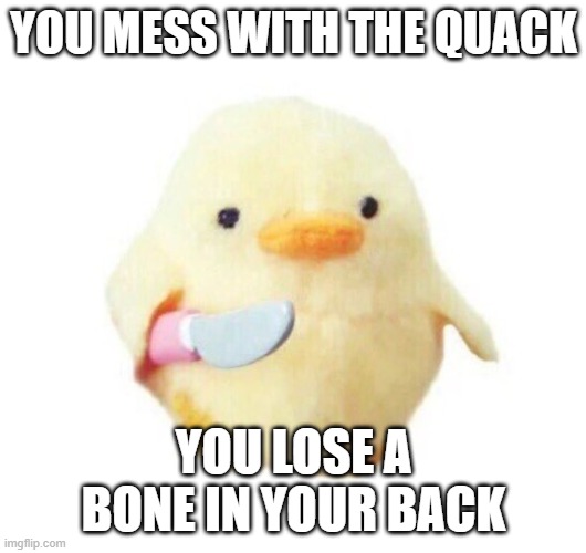 Duck with knife | YOU MESS WITH THE QUACK YOU LOSE A BONE IN YOUR BACK | image tagged in duck with knife | made w/ Imgflip meme maker