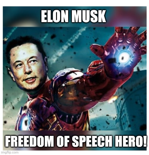 Elon Musk freedom of speech hero | ELON MUSK; FREEDOM OF SPEECH HERO! | image tagged in elon musk | made w/ Imgflip meme maker