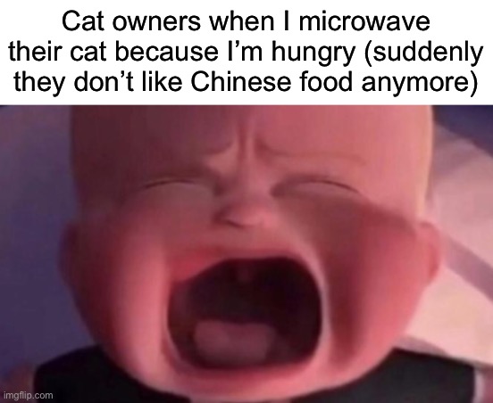 boss baby crying | Cat owners when I microwave their cat because I’m hungry (suddenly they don’t like Chinese food anymore) | image tagged in boss baby crying | made w/ Imgflip meme maker