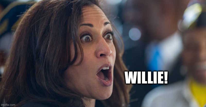 kamala harriss | WILLIE! | image tagged in kamala harriss | made w/ Imgflip meme maker