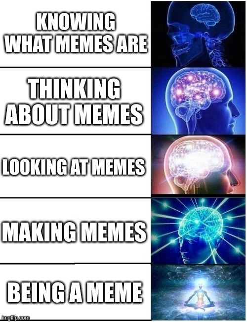 Expanding Brain 5 Panel | KNOWING WHAT MEMES ARE; THINKING ABOUT MEMES; LOOKING AT MEMES; MAKING MEMES; BEING A MEME | image tagged in expanding brain 5 panel,memes,oh wow are you actually reading these tags,stop reading the tags | made w/ Imgflip meme maker
