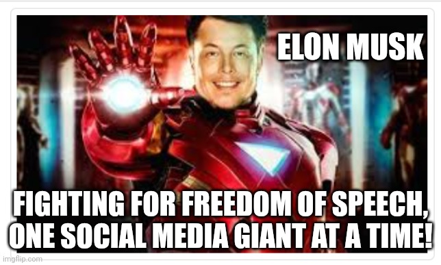 Freedom of speech | ELON MUSK; FIGHTING FOR FREEDOM OF SPEECH, ONE SOCIAL MEDIA GIANT AT A TIME! | image tagged in elon musk | made w/ Imgflip meme maker